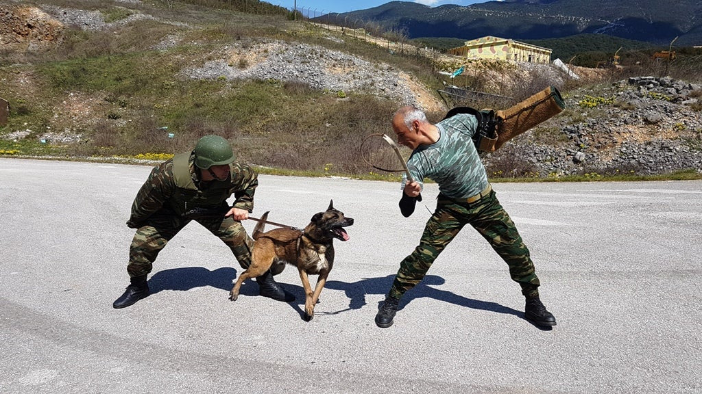 Δέκα στα δέκα για τους άγρυπνους – πιστούς φρουρούς του Ελληνικού στρατού – Αξιολόγηση συνοδών σκύλων (εικόνες)